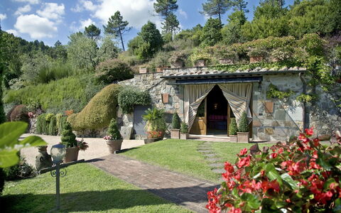 Al Mennucci: Tuin, Eigendom, Natuurlijk Landschap, Botanische Tuin, Gebouw, Werf, Huis, Landgoed, Landscaping, Plantkunde