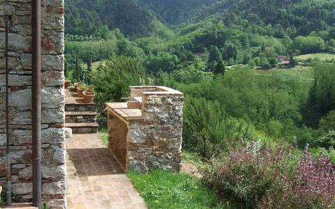 Bottino: Muur, Natuurlijk Landschap, Stenen Muur, Landschap, Boom,  Felsen\, Landelijk Gebied, Gras, Plantengemeenschap, Fabriek