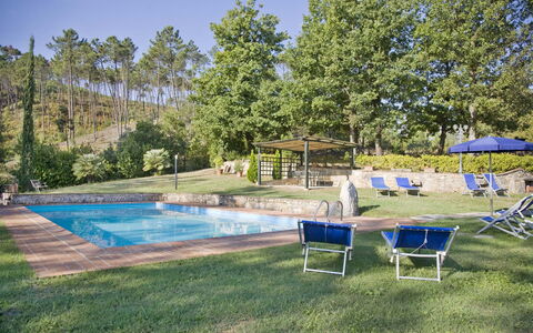 Broccolo: Zwembad, Eigendom, Onroerend Goed, Backyard, Huis, Vrije Tijd, Gras, Huis, Gebouw, Landgoed