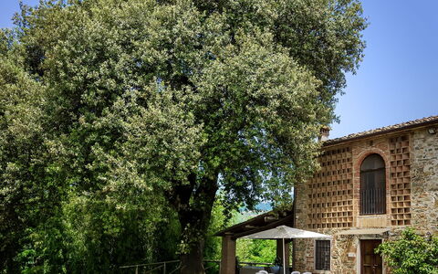 Casa Tonio: Boom, Eigendom, Woody Plant, Fabriek, Huis, De Lente, Architectuur, Gras, Struik, Gebouw