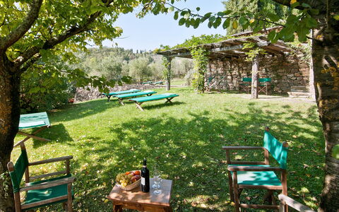 Casavecchia: Fabriek, Groen, Schaduw, Boom, Plantkunde, Buitenmeubels, Vegetation, Natuurlijk Landschap, Gras, Biome