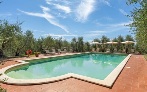 La Fonte: Tuin, Hacienda, Landscaping, Landgoed, Zwembad, Werf, Villa, Toevlucht, Eco Hotel, Backyard