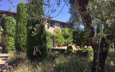 Macennere: Vegetation, Eigendom, Boom, Huis, Lucht, Gebouw, Struik, Grassenfamilie, Landelijk Gebied, Architectuur