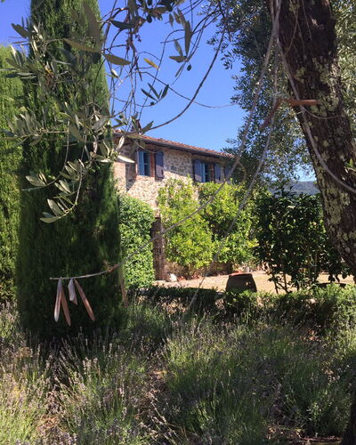 Macennere: Vegetation, Eigendom, Boom, Huis, Lucht, Gebouw, Struik, Grassenfamilie, Landelijk Gebied, Architectuur