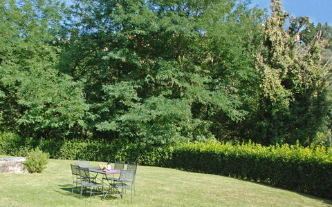 Magrini: Boom, Tuin, Eigendom, Natuurlijk Landschap, Gras, Struik, Fabriek, Woody Plant, Plantkunde, Gazon