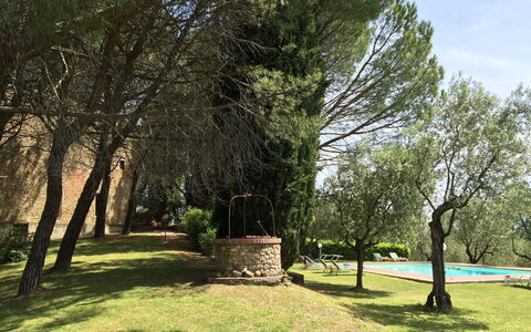 Malmantile: Boom, Natuur, Natuurlijk Landschap, Gras, Natuurlijke Omgeving, Dag, Woody Plant, Lucht, Fabriek, De Lente