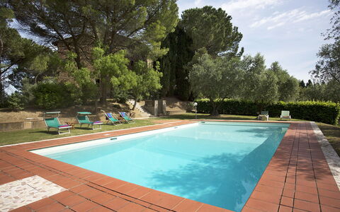 Malmantile: Zwembad, Eigendom, Vrije Tijd, Gras, Onroerend Goed, Huis, Backyard, Huis, Rechthoek, Boom