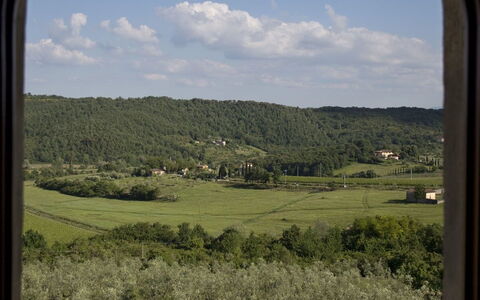 Ricavoli: Vegetation, Venster, Gras, Plantengemeenschap, Lucht, Grassenfamilie, Boom, Plain, Ecoregio, Landelijk Gebied