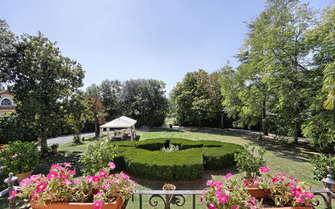 Villa Clara 20: Tuin, Eigendom, Botanische Tuin, Plantkunde, Onroerend Goed, Landgoed, Fabriek, Boom, Werf, Bloem