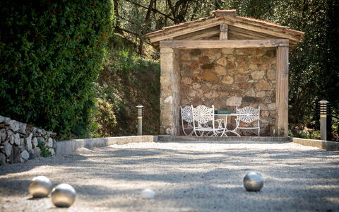 Villa Igea 13: Fabriek, Natuur, Hout, Boom, Gras, Weg Oppervlak, Zonlicht, Biome, Trunk, Openbare Ruimte