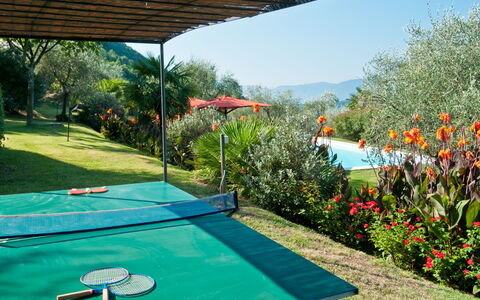 Villa Igea 13: Water, Fabriek, Bloem, Eigendom, Lucht, Natuur, Groen, Azure, Zwembad, Gebouw