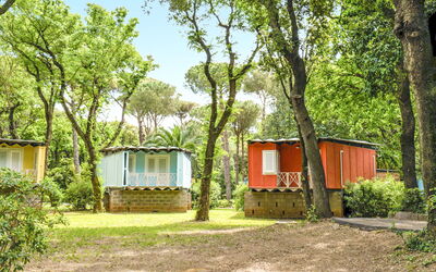 Accommodatie:&nbsp;Morellino 629.4