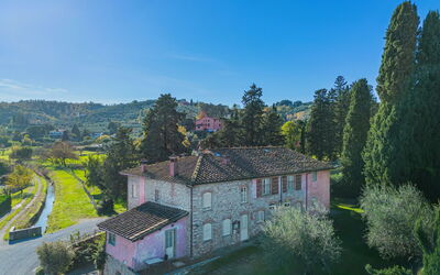 Lucca 657