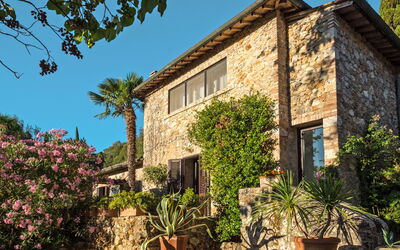 Accommodatie:&nbsp;Il Boschetto 631.2