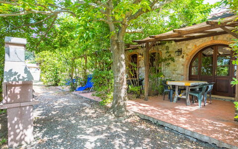 Accommodatie:&nbsp;Falco 626.22
