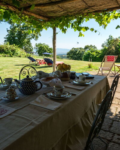Ginestra: Fabriek, Tafel, Eigendom, Tableware, Lucht, Boom, Buitentafel, Buitenmeubels, Architectuur, Schaduw