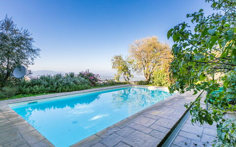 Belvedere