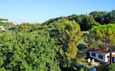 Ulivo