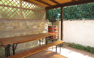 Ulivo