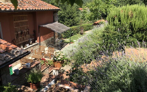 Villa Fusai: Eigendom, Werf, Dak, Huis, Biome, Landschap, Tuin, Gebouw, Gras, Backyard