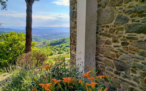 Villa Fusai: Natuur, Vegetation, Bloem, Fabriek, Boom, Blad, Muur, Wildflower, Gras, Plantkunde