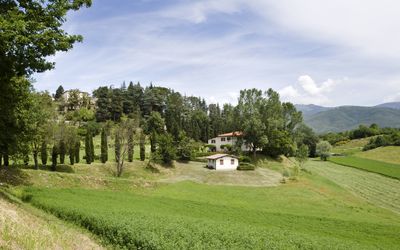 Della Nave Estate
