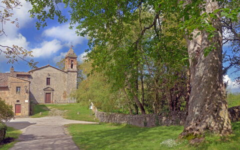 Casa Di Lilli: Gras, Landschap, Grasland, Landelijk Gebied, Weide, Pasture, Kasteel, Klooster