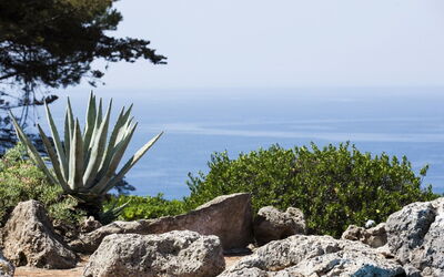 Villa Tra Cielo e Mare