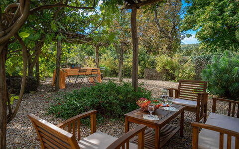 Casa Di Giulio: Meubilair, Struik, Buitenmeubels, Tuin, Plantengemeenschap, Schaduw, Buitentafel, De Lente, Groundcover