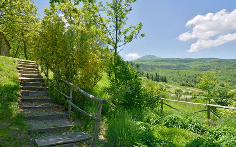 Casa Dell'ambasciatore: Groen, Natuur, Natuurlijke Omgeving, Natuurlijk Landschap, Bergachtig Landvormen, Vegetation, Heuvel, Struik, Zomer, Landschap