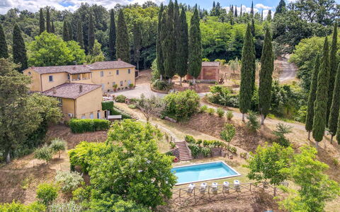 Villa Bacco: Boom, Struik, Landschap, Huis, Huis, Land Lot, Landgoed, Landelijk Gebied, Tuin, Landscaping