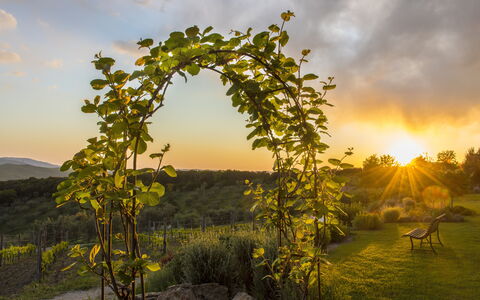 Sequerciani: Natuur, Boom, Lucht, Natuurlijk Landschap, Ochtend, Biome, Fabriek, Zonlicht, Landschap, Boog