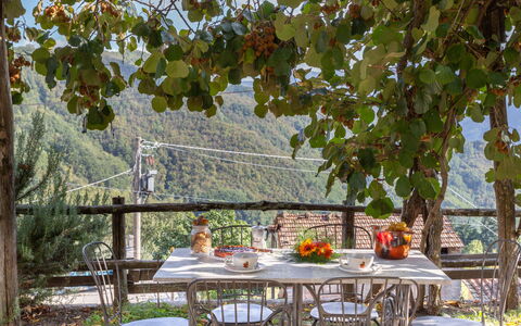 Casa Alice: Boom, Tafel, Blad, Vrije Tijd, Meubilair, Vakantie, Huis, Onroerend Goed, Maaltijd, Fabriek