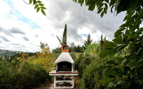 Calanchi Apartments: Lucht, Boom, Fabriek, Tuin, Architectuur, Gebouw, Gebedsruimte, Vakantie, Huis