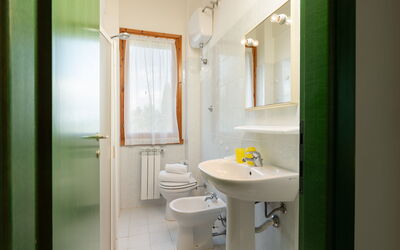 Accommodatie:&nbsp;Narciso