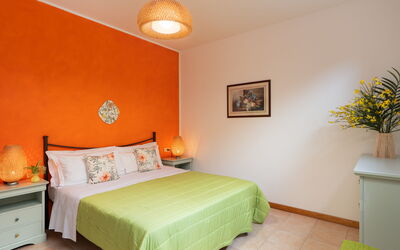 Accommodatie:&nbsp;Begonia