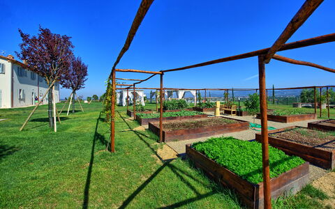 Il Sole Di Vino: Onroerend Goed, Gras, Lucht, Boom, Architectuur, Huis, Land Lot, Landelijk Gebied, Landschap, Fabriek