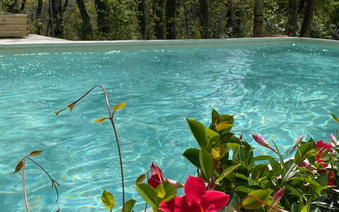 Villa La Casa Bianca: Water, Bloem, Fabriek, Plantengemeenschap, Groen, Natuurlijk Landschap, Plantendiversiteit, Vegetation, Petal, Waterloop