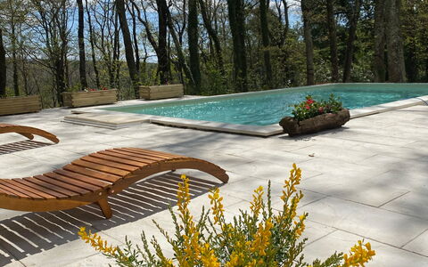 Villa La Casa Bianca: Bloem, Fabriek, Lucht, Blad, Natuurlijk Landschap, Vegetation, Boom, Geel, Gras, Woody Plant