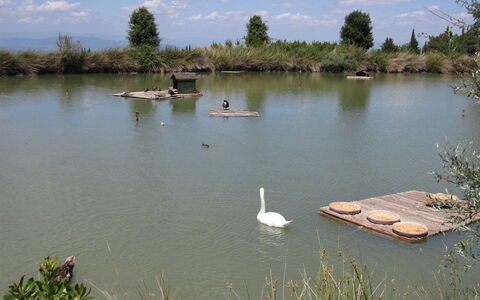 La Rimessa: Zwemwater, Watervoorraden, Natuurlijk Landschap, Water, Vijver, Bank, Reservoir, Natuurgebied, Meer