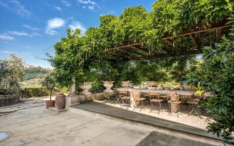 Villa Alfresco: Tuin, Schaduw, Bloempot, Flagstone, Outdoor Structuur, Kamerplant