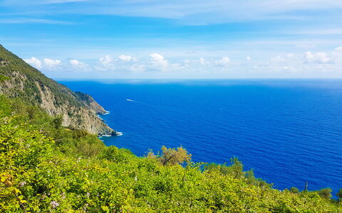 Dai Fiorentini - Apartment In Levanto: Lucht, Kust, Zee, Vegetation, Blauw, Voorgebergte, Kust En Oceanic Landvormen, Natuurlijk Landschap, Oceaan, Headland