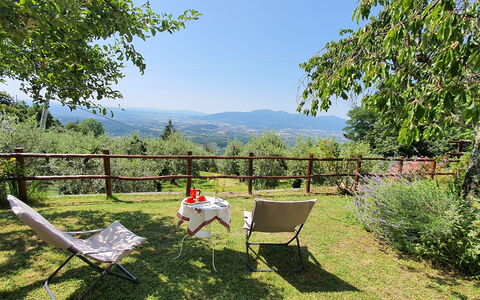 La Casa Del Sole: Fabriek, Lucht, Plantengemeenschap, Blad, Natuurlijk Landschap, Boom, Stoel, Buitenmeubels, Land Lot, Schaduw