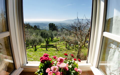 La Casa Del Sole: Eigendom, Kamer, Venster, Huis, Huis, Bloem, Gebouw, Fabriek, Interieur Ontwerp, Onroerend Goed