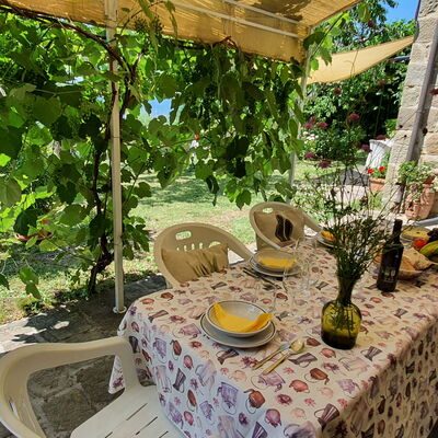 La Casa Del Sole: Fabriek, Eigendom, Tafel, Plantkunde, Natuur, Bloem, Landschap, Stoel, Buitenmeubels, Plantendiversiteit