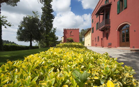 Tenuta Cambiano: Bloem, Geel, Natuurlijk Landschap, Eigendom, Fabriek, Tuin, Plantkunde, Plantage, De Lente, Onroerend Goed