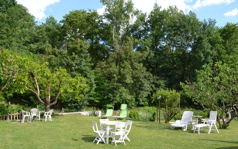 Agriturismo Il Giaggiolo without Pool: Boom, Tuin, Eigendom, Gazon, Backyard, Gras, Werf, Woody Plant, Fabriek, Huis