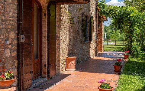 Podere a Lafi: Fabriek, Bloempot, Gebouw, Kamerplant, Bloem, Boom, Deur, Steen, Metselwerk, Buurt