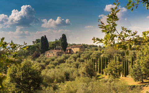 Villa Poggiospinoso: Natuurlijk Landschap, Natuur, Lucht, Vegetation, Boom, Wolk, Natuurlijke Omgeving, Wildernis, Biome, Natuurgebied