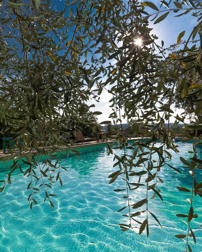 Villa Poggiospinoso: Zwembad, Vrije Tijd, Toevlucht, Water, Recreatiecentrum, Vakantie, Boom, Hotel, Recreatie, Fabriek